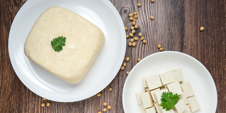 Dürfen Hunde Tofu essen?